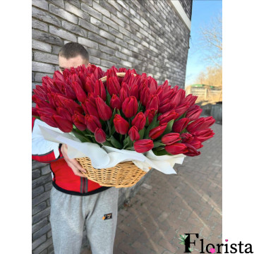 Київ, Україна - Кошик з 201 тюльпану